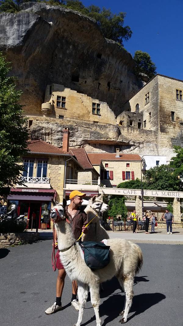 Ort, Les Eyzies de Tayac Sireuil, Café de la Mairie, Lama, Nationales Museum für Vorgeschichte