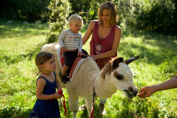 Aktivitäten mit Lama und Kindern