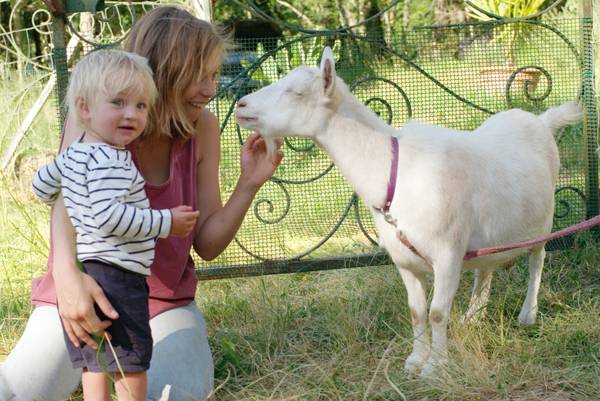 Ziege mit Langlebigkeit und Kind